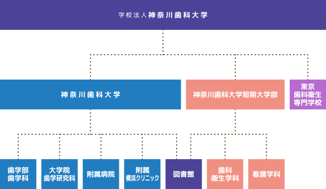 神奈川歯科大学組織図