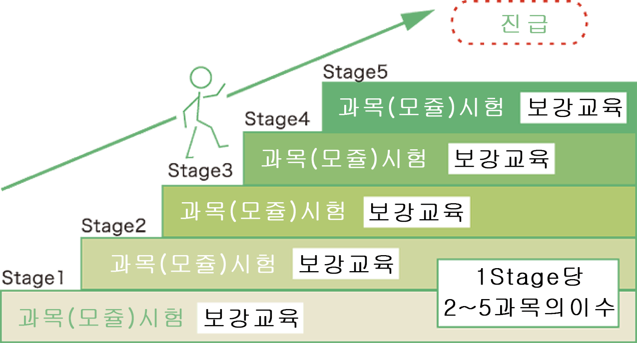 5stage