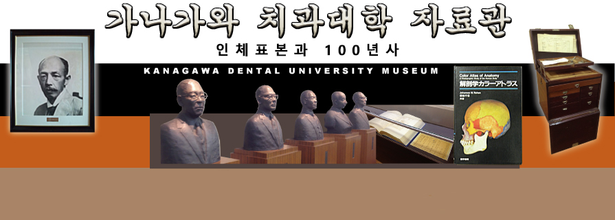 가나가와 치과대학 자료관 인체표본과 100년사