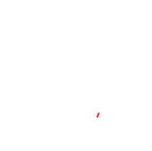 アナトミーアート｜Anatomy Art